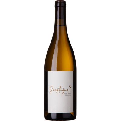 Famille Maurel | Chardonnay (?) 2025 Vin de France
