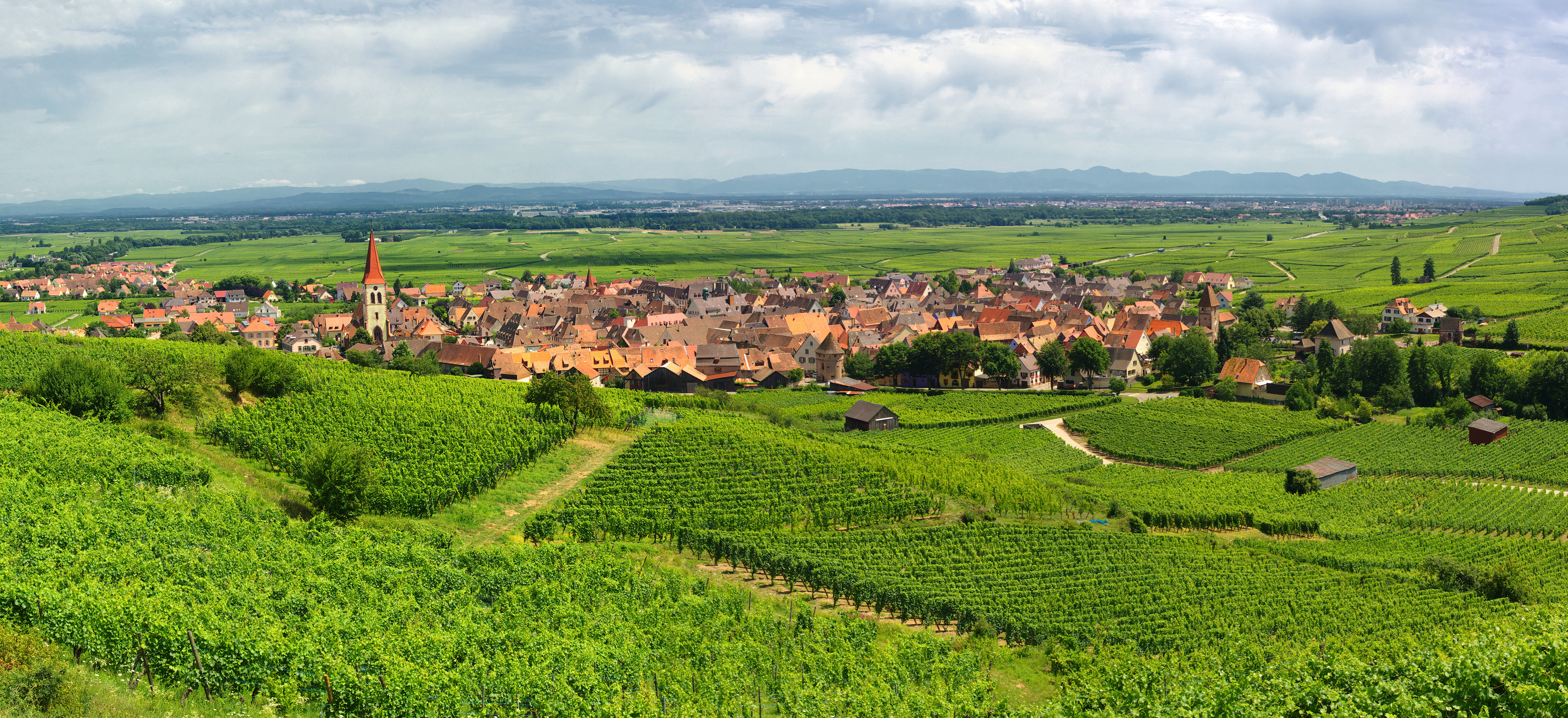 Domaine Bernard Schneider