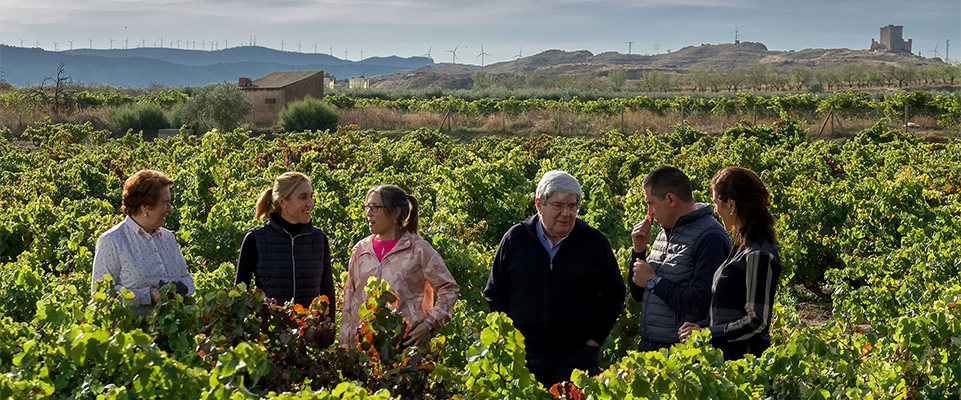 Bodega Queirón