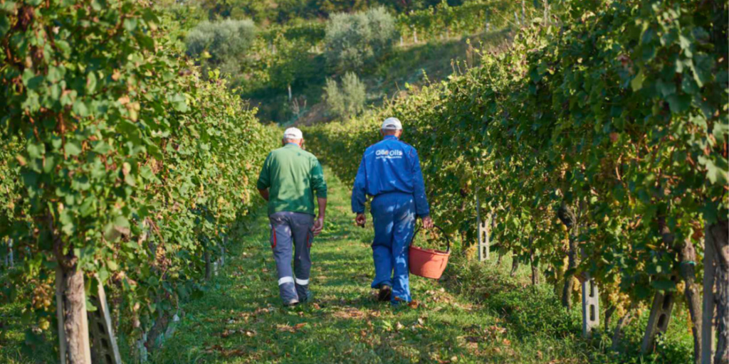 Cantina di Custoza