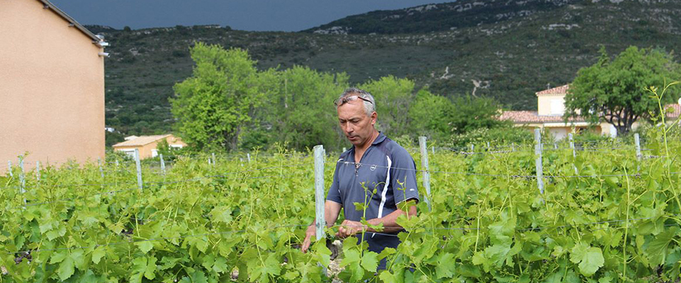 Clos de l'Abbe Dubois