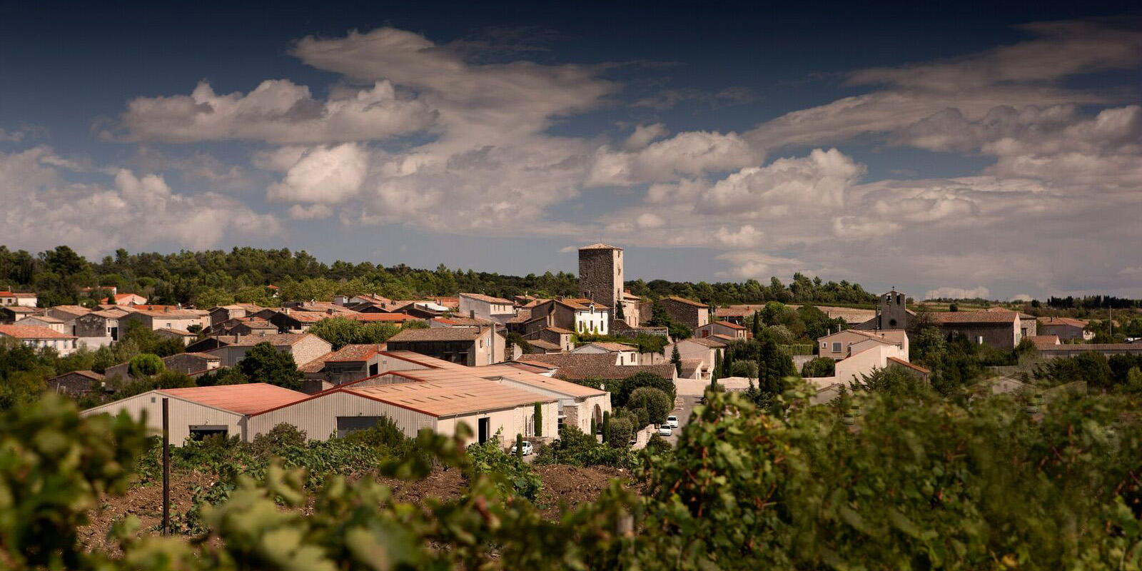 Famille Maurel